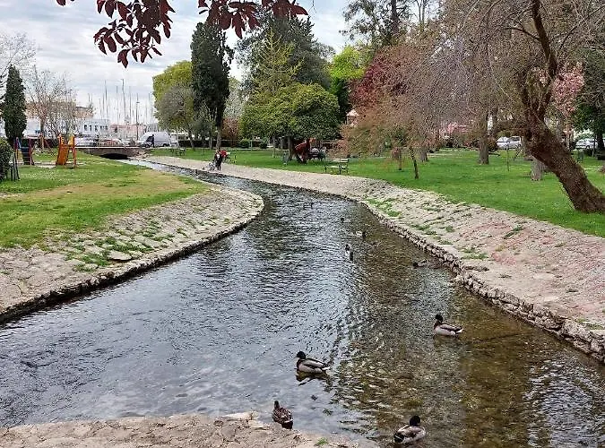 Angelo דירה זאדאר